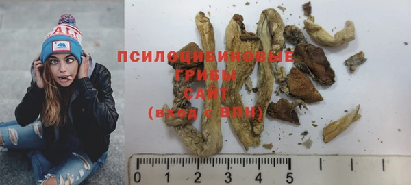 спиды Новозыбков