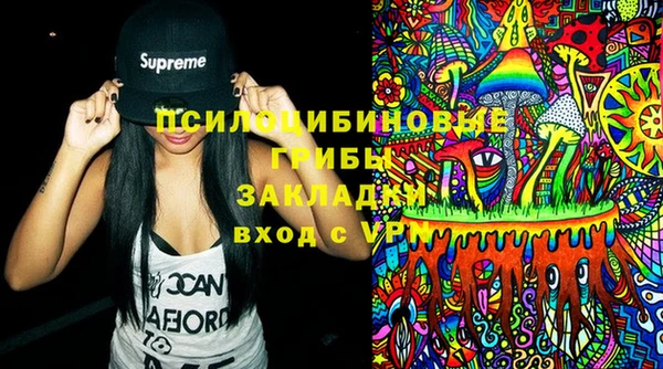 спиды Новозыбков