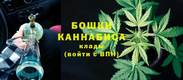 спиды Новозыбков
