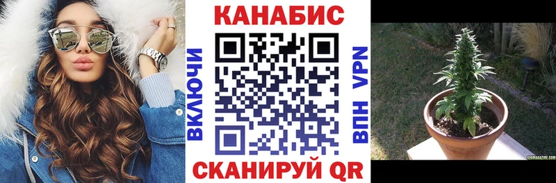 Канабис SATIVA & INDICA Краснозаводск